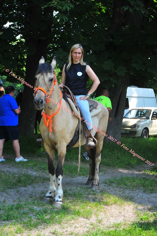DSC_0954.JPG